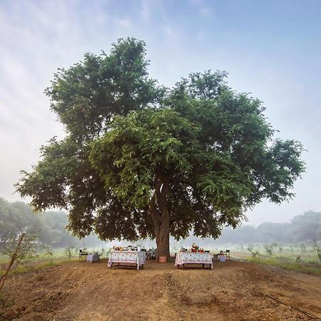 Mela Kothi - The Chambal Safari Lodge Bāh Buitenkant foto