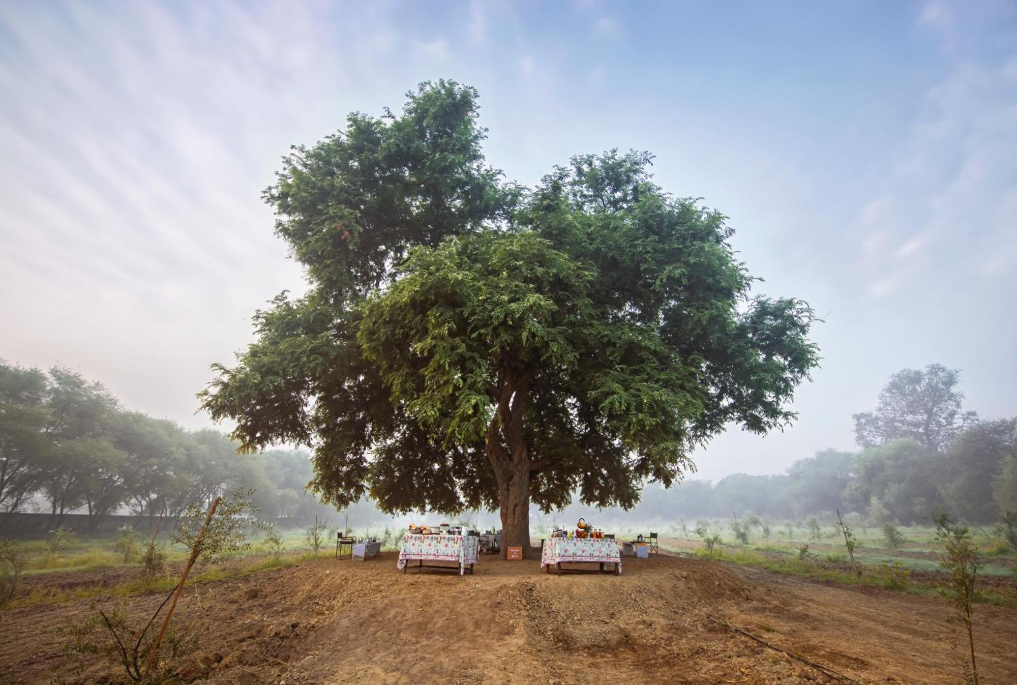 Mela Kothi - The Chambal Safari Lodge Bāh Buitenkant foto