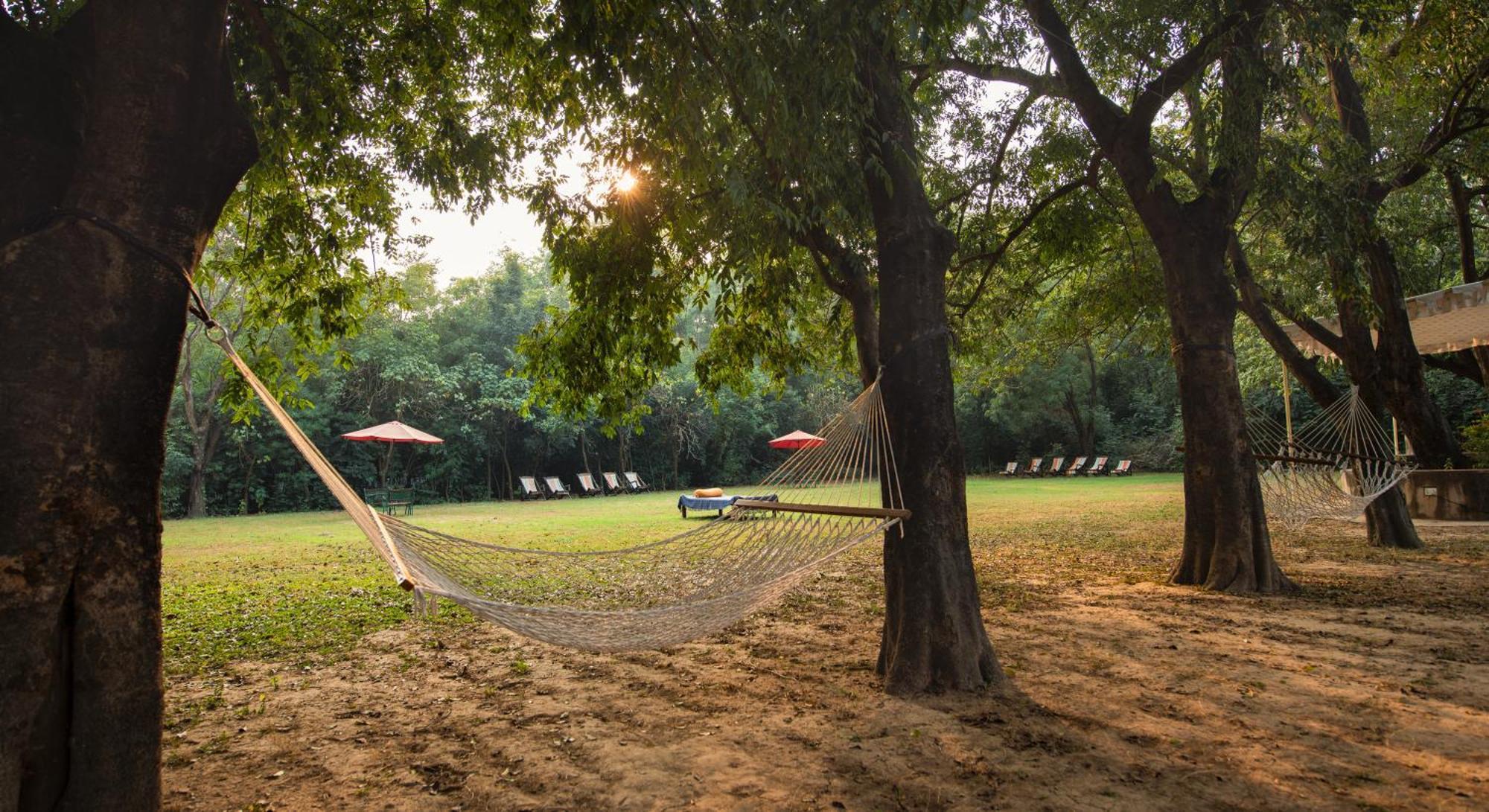Mela Kothi - The Chambal Safari Lodge Bāh Buitenkant foto